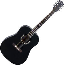Ware western gitarre gebraucht kaufen  Schongau