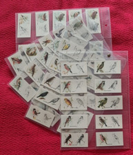 Bird painting godfrey for sale  LONDON