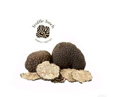Tartufo nero fresco usato  Rocca d'Evandro