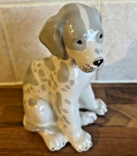 Lomonosov great dane for sale  WATERLOOVILLE