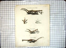 Antique old print for sale  UK