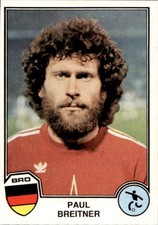 Figurina panini sport usato  Italia