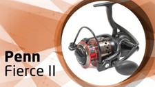 Penn fierce repair for sale  Saint Charles