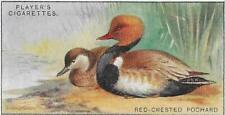 Single card original for sale  GRANTHAM