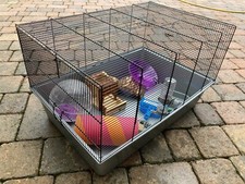 Pets home large for sale  CREDITON