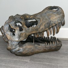 Skull tyrannosaurus rex for sale  SCARBOROUGH