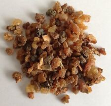 Organic myrrh tree for sale  LONDON