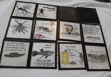 Science insects lot for sale  WAKEFIELD