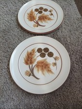 Denby cotswold dinner for sale  NOTTINGHAM