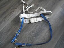 Raf wilkinson sword for sale  BENFLEET