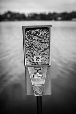Animal feed koi for sale  Plymouth