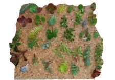 Unrooted sedum cuttings for sale  WOLVERHAMPTON