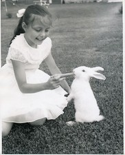Fillette lapin 1950 d'occasion  Ballon