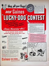 1949 gaines lucky for sale  Talking Rock