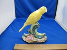 canaries canary nice for sale canaries canary nice for sale Hopewell
