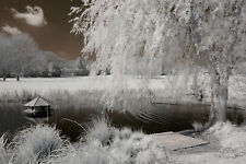 Nikon d50 infrared d'occasion  Expédié en Belgium