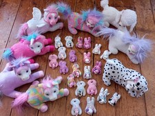 Puppy surprise pony for sale  PLYMOUTH