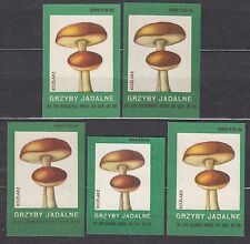 Używany, POLAND 1961 Matchbox Label Z#266 set, Edible mushrooms - Leccinum. na sprzedaż  PL