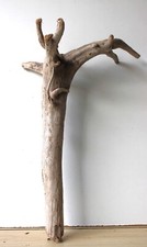 Treibholz schwemmholz driftwoo gebraucht kaufen  Halblech