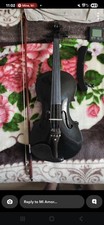 Electric violin for sale  WORCESTER