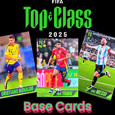 Panini fifa top gebraucht kaufen  Börßum