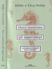 Dove nuotano gli usato  Italia