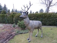 Rothirsch lebensgroß hirsch gebraucht kaufen  Hergisdorf