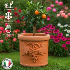 Vaso fioriera piante usato Vaso fioriera piante usato  Deruta