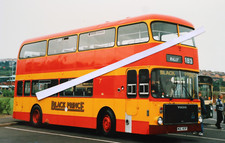 Black prince morley for sale  KEIGHLEY