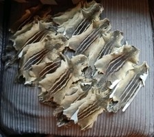 Joblot squirrel skins for sale  WELLINGTON