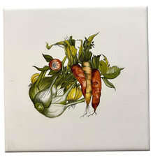 italian unused ceramic tile for sale  Whiting