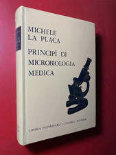 Michele placa principi usato  Bologna