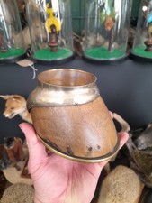 Antique taxidermy horse for sale  KINGSWINFORD