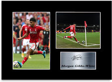 Morgan gibbs white for sale  OMAGH