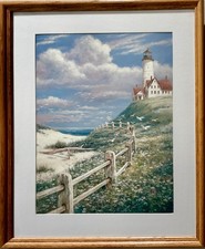 Lighthouse fence along for sale  Casa Grande