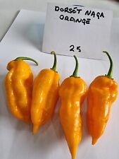 Dorset naga orange for sale  HUDDERSFIELD