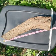 4lb 1oz eastern for sale  Edmonton