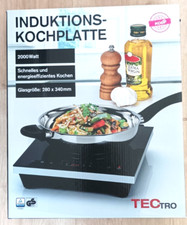 Tectro induktionskochplatte 19 gebraucht kaufen  Zülpich