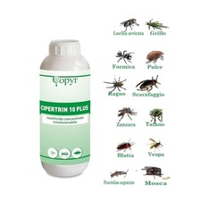 Copyr cipertrin plus usato  San Giovanni Rotondo