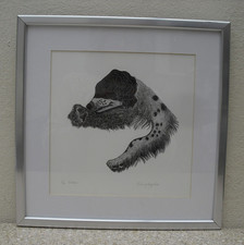 Hilary paynter woodcut for sale  BIDEFORD