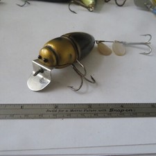 beetle wings for sale beetle wings for sale Las Vegas