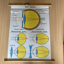 Vom rolltafel schulwandkarte gebraucht kaufen  Wipperfürth