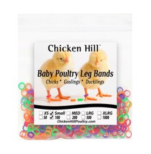 100 chick leg for sale  Horseshoe Bend
