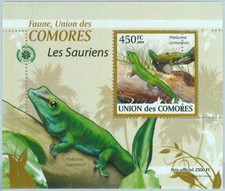 A0409 comores error usato  Milano