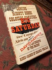 Big saturday david for sale  Limerick
