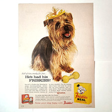 Friskies dog food for sale  Chicago
