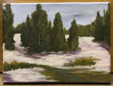 Acrylic paint evergreen for sale  Joplin