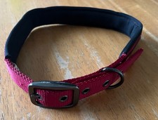 wainwright collar for sale  SEDBERGH