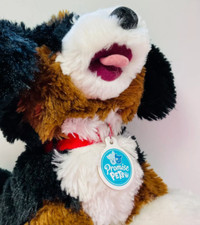 bernese mountain dog for sale bernese mountain dog for sale Fort Worth