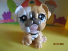 Petshop chien bouledogue d'occasion  Saint-Omer